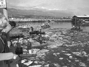 1969 Santa Barbara oil spill